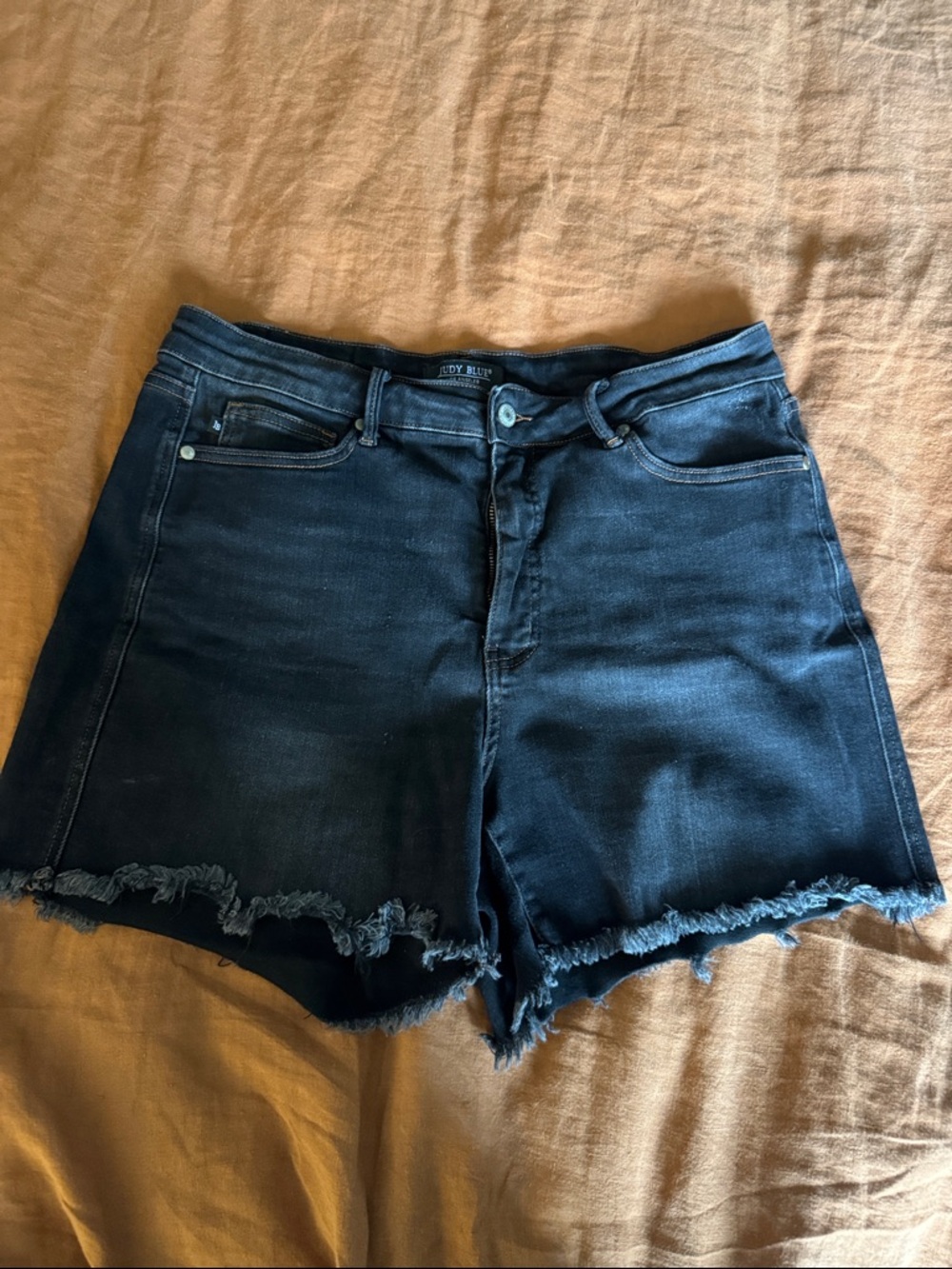 Black Judy Blue distressed shorts